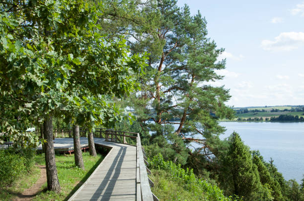 istock The Valley Of Junipers Wooden Path 1800935693