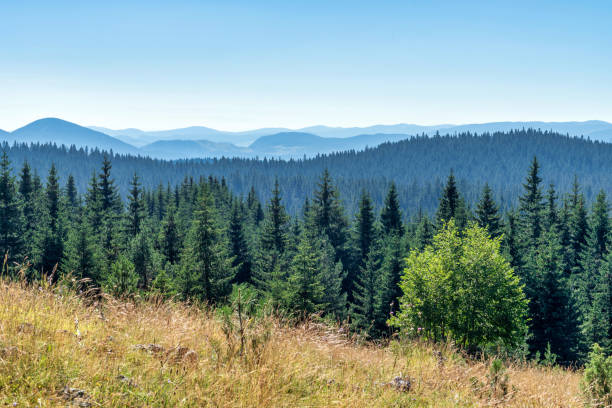 istock Durmitor National Park - Montenegro 1800950345