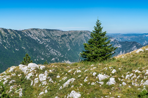 Herzogstand, a popular hiking trails in Bayern, southern Germany. The photo was taken in June 2021.