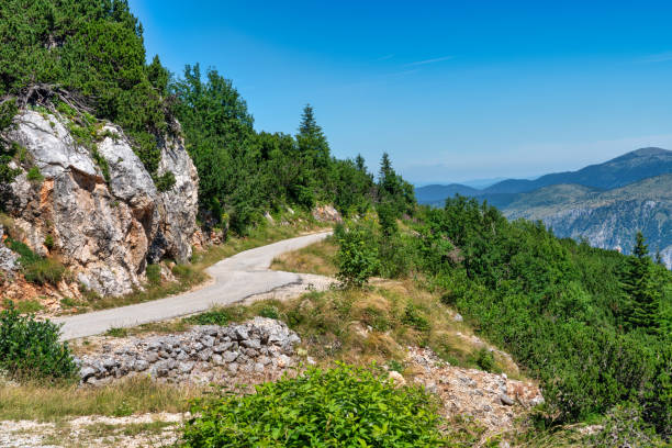 istock Durmitor National Park - Montenegro 1800964864