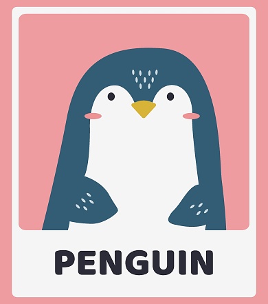 Cute penuin. Animal portraits. Educational cards for children. Simple vector illustrations.