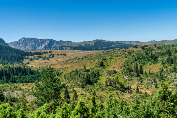 istock Durmitor National Park - Montenegro 1800967455