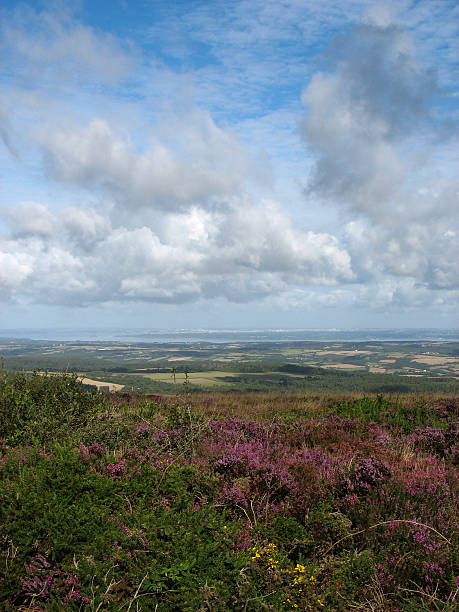 istock Menez-Hom and moor in Brittany 180097109
