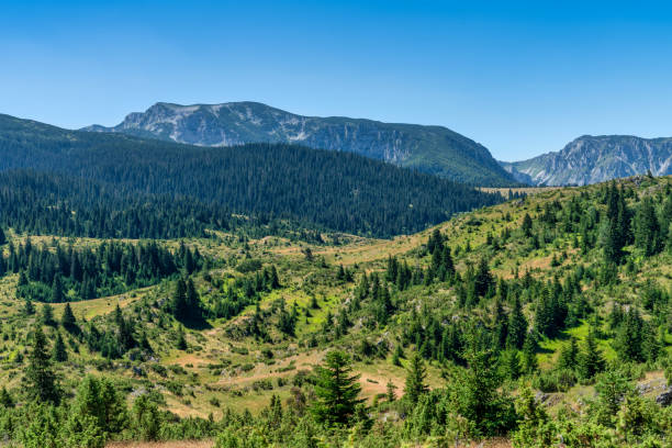 istock Durmitor National Park - Montenegro 1800972176