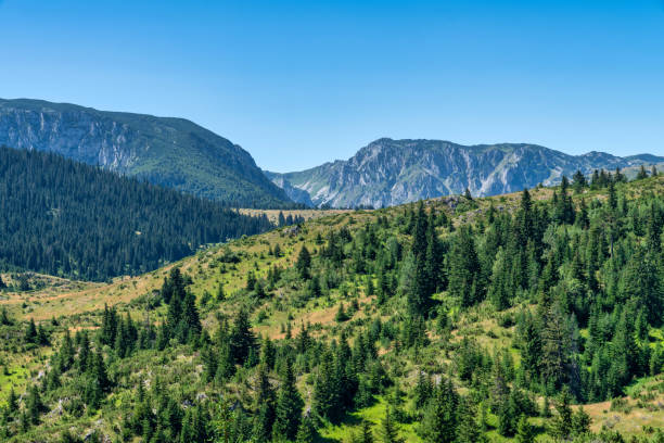 istock Durmitor National Park - Montenegro 1800972177
