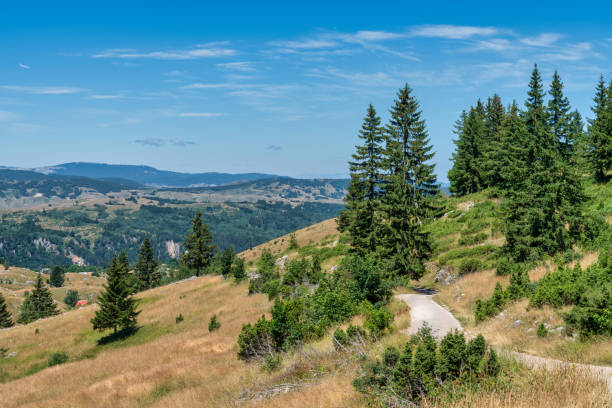 istock Durmitor National Park - Montenegro 1800973275