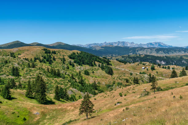 istock Durmitor National Park - Montenegro 1800973276