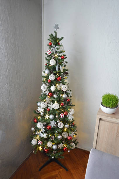 istock Decorated Christmas tree in corner of the room 1800973808