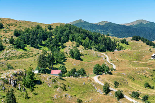 istock Durmitor National Park - Montenegro 1800979608