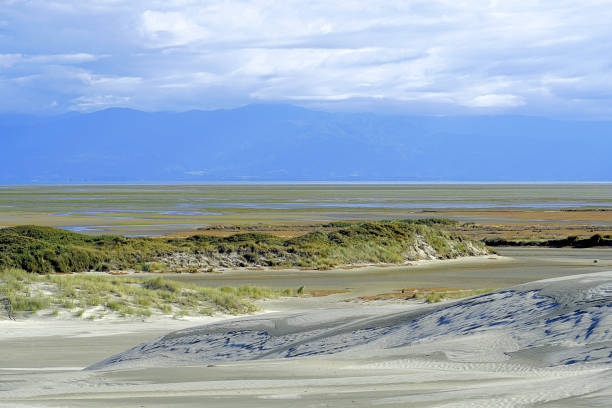 istock New Zealand South Island 1801000721