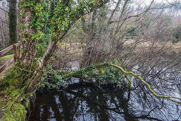 Picture taken in Ireland, Europe