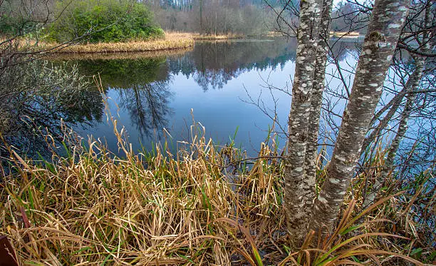 Picture taken in Ireland, Europe