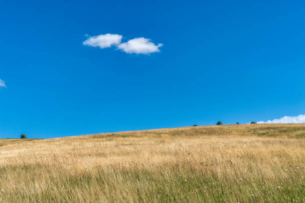 Durmitor National Park - Montenegro