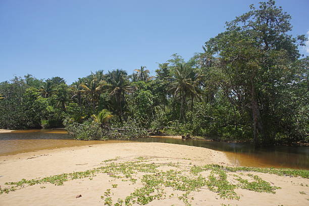 istock Impressions from Costa Rica 180101872
