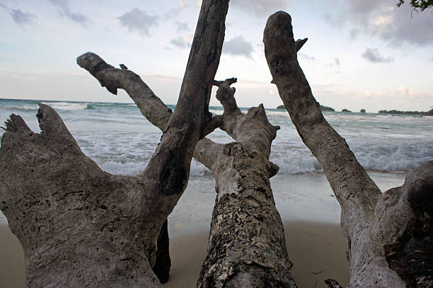 istock Impressions from Costa Rica 180102005