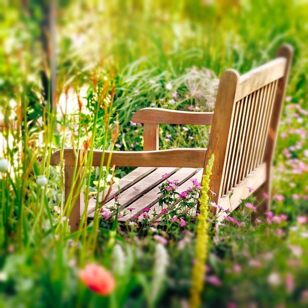 banco de madera en un jardín de flores silvestres. composición cuadrada. - ornamental garden fotografías e imágenes de stock