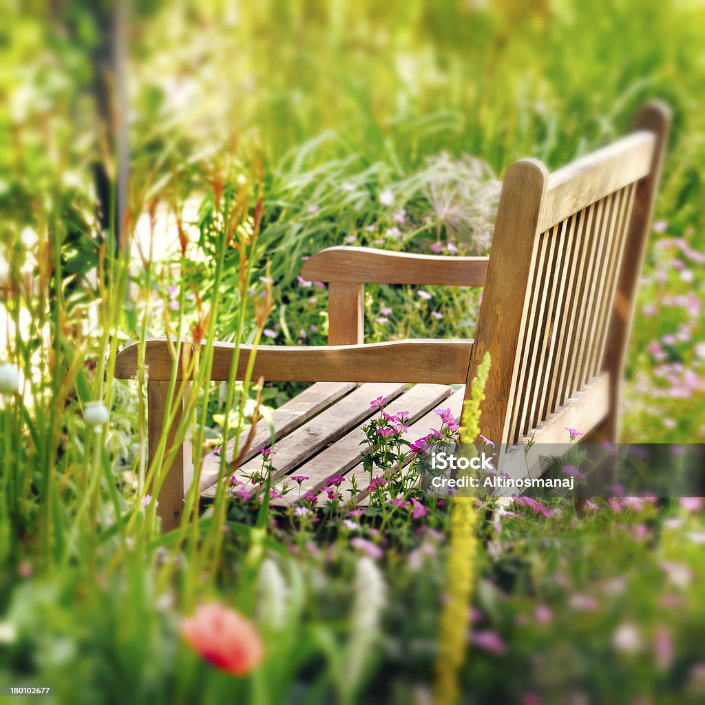 Wooden Bench in a wildflower garden. Square composition. Yard - Grounds Stock Photo