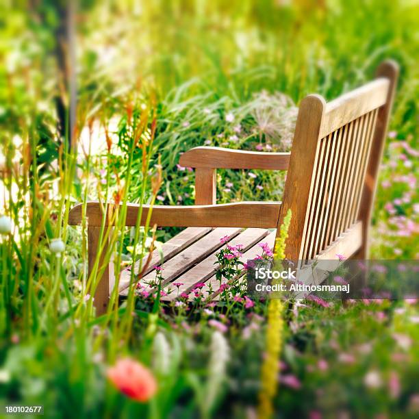 Wooden Bench In A Wildflower Garden Square Composition Stock Photo - Download Image Now