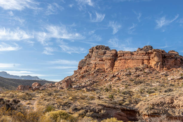 istock mountain above desert plants and sky 1801027137