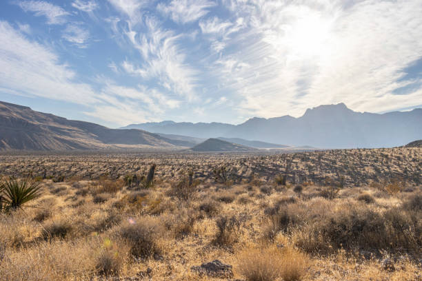 istock silhouette of mountain and desert 1801029235