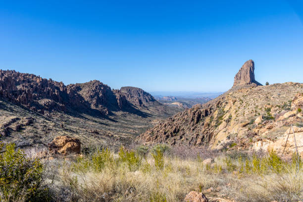 istock valley of plants by mountains 1801039309