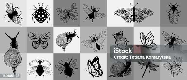 Monkey Pattern On Insect Checkered Pattern With Insects Stock Illustration - Download Image Now ...