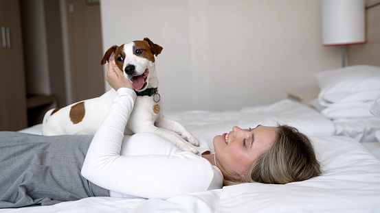 Hotel room where you can live with animals. A girl, along with a dog breed Jack Russell, lies on a bed in a hotel room. The girl is in bed, not her dog. Loving dog breed Jacks Russell, with his mistress.