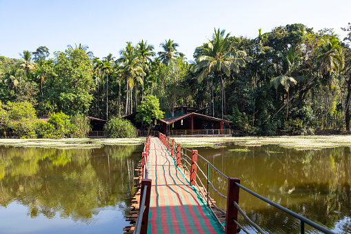 This image captures the serene and unique setting of the Tropical Spice Farm in Goa, emphasizing its idyllic water features and the distinctive floating bridge. The farm is cradled in a landscape where tranquil water bodies are a defining element, adding to the lushness of the environment. In the photograph, the water reflects the vibrant greenery, creating a peaceful and almost mystical atmosphere. The floating bridge, an innovative and eco-friendly feature, spans across one of these water bodies, allowing visitors to traverse the farm while enjoying close-up views of the aquatic flora and fauna. This image aims to showcase the harmony between natural water elements and sustainable agricultural practices, highlighting the farm as a place of ecological beauty and tranquility.