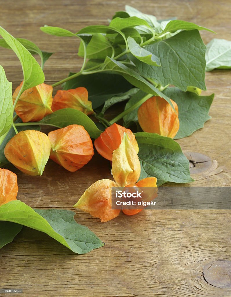 physalis Frutti di bosco arancione con foglie verdi - Foto stock royalty-free di Alchechengi - Frutti di bosco