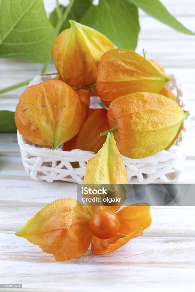 physalis Frutti di bosco arancione con foglie verdi - Foto stock royalty-free di Alchechengi - Frutti di bosco