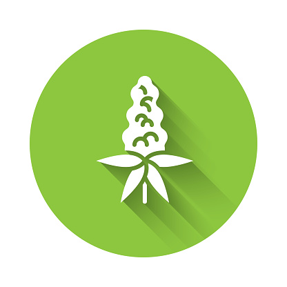 White Lupine flower icon isolated with long shadow background. Green circle button. Vector