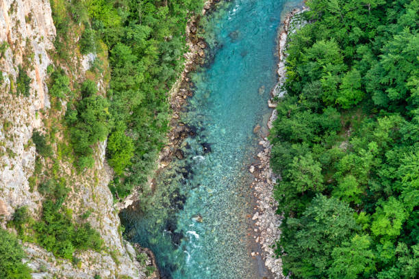istock Tara River Canyon Montenegro 1801121317