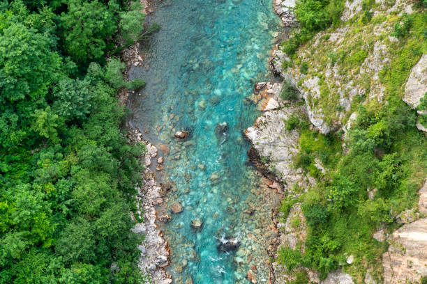 istock Tara River Canyon Montenegro 1801121318