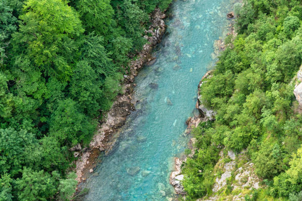 istock Tara River Canyon Montenegro 1801121320