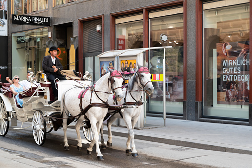 Vienna, Austria. 29 September 2023. tourists taking a ride in elegant white horse-drawn carriage in old town