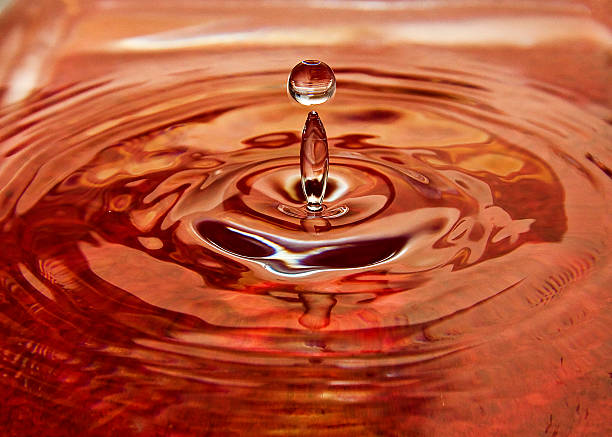 Water Drop stock photo