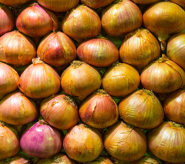 Fresh onions