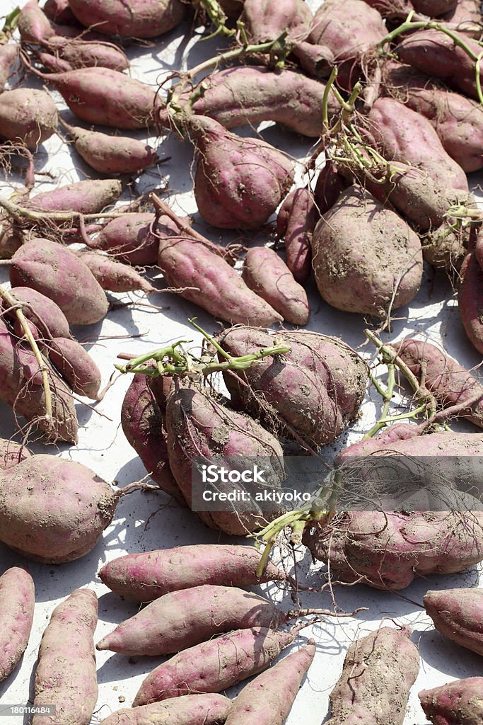 Patate douce Récolter - Photo de Grand groupe d'objets libre de droits