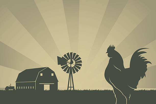 American farming background Silhouettes of tractor, barn, wind mill, meadow and rooster in sunrise. High-res JPEG included. farm silhouettes stock illustrations