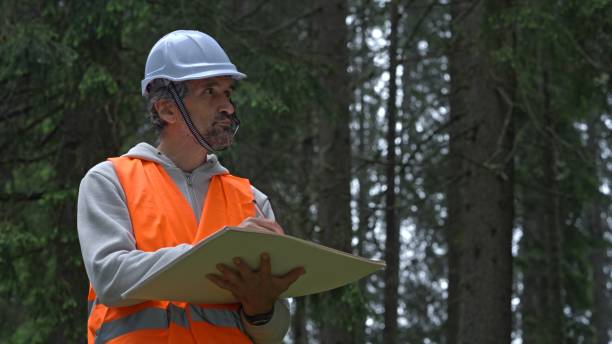 istock Ecologist on fieldwork in pine forest. Sustainability and ecosystem care. 1801218956