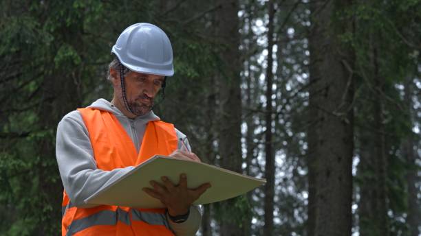 istock Ecologist on fieldwork in pine forest. Sustainability and ecosystem care. 1801218961