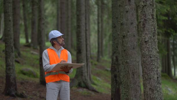 istock Ecologist on fieldwork in pine forest. Sustainability and ecosystem care. 1801218962