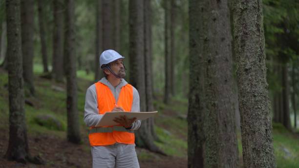 istock Ecologist on fieldwork in pine forest. Sustainability and ecosystem care. 1801218963