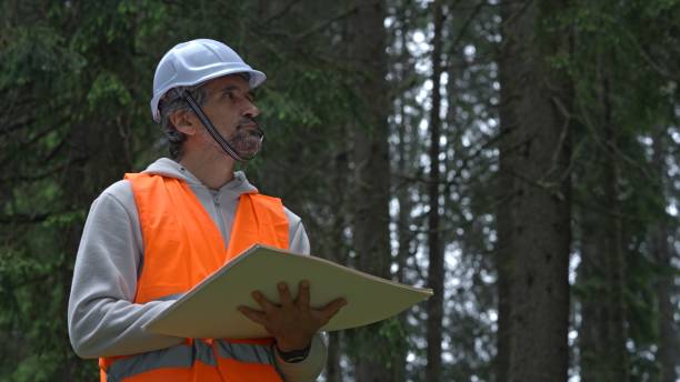 istock Ecologist on fieldwork in pine forest. Sustainability and ecosystem care. 1801218965