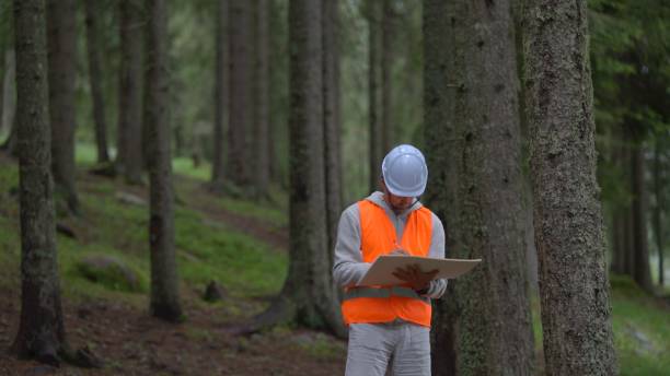 istock Ecologist on fieldwork in pine forest. Sustainability and ecosystem care. 1801218968