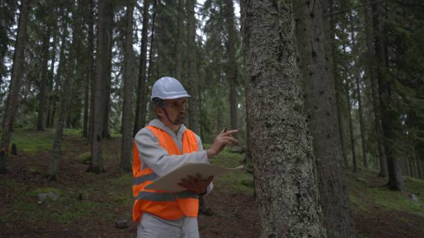istock Ecologist on fieldwork in pine forest. Sustainability and ecosystem care. 1801218971