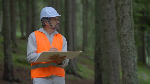 istock Ecologist on fieldwork in pine forest. Sustainability and ecosystem care. 1801218972