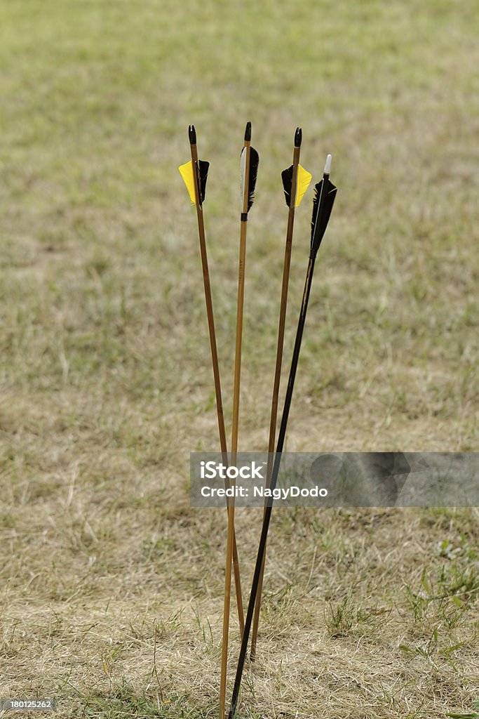 Setas na natureza - Foto de stock de Flecha royalty-free