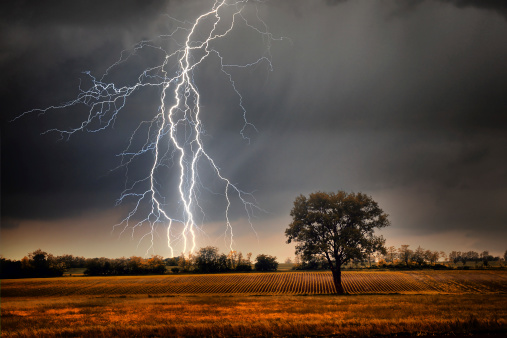 Lightning over Campo photo