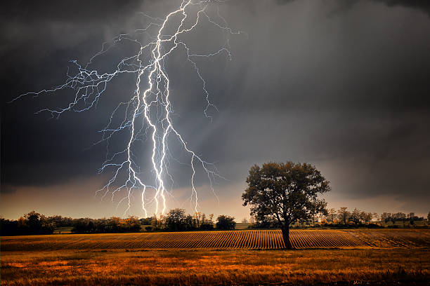 lightning sur champ - thunderstorm photos et images de collection